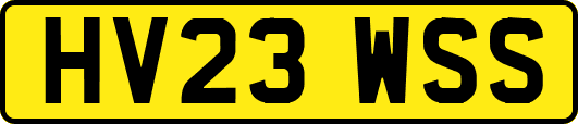 HV23WSS