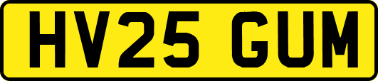 HV25GUM