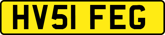 HV51FEG