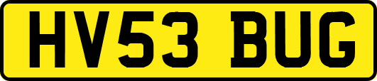 HV53BUG