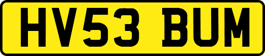 HV53BUM
