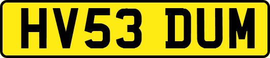 HV53DUM