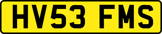 HV53FMS