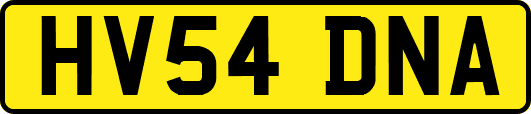 HV54DNA