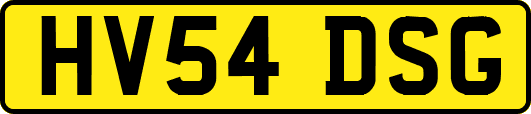 HV54DSG