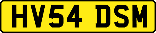 HV54DSM