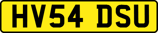 HV54DSU