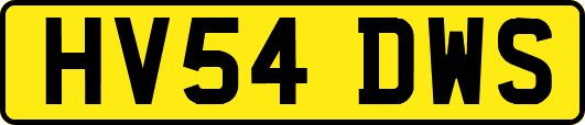 HV54DWS