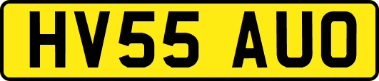 HV55AUO