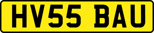 HV55BAU