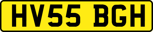 HV55BGH