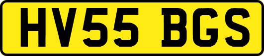 HV55BGS
