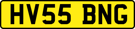 HV55BNG