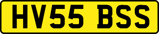 HV55BSS
