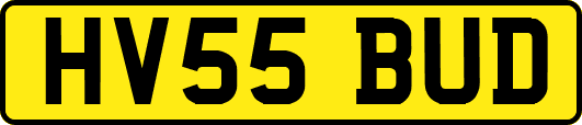 HV55BUD