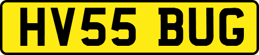 HV55BUG