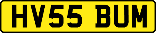 HV55BUM