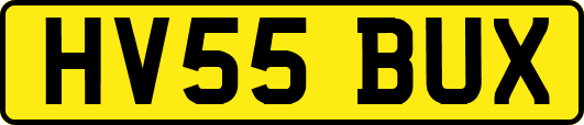 HV55BUX