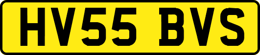 HV55BVS
