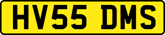 HV55DMS