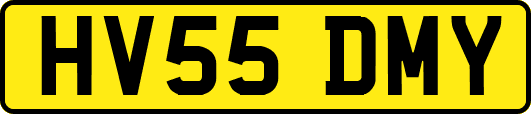 HV55DMY