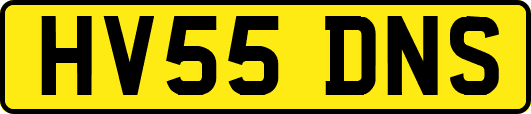 HV55DNS