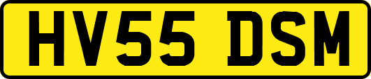 HV55DSM