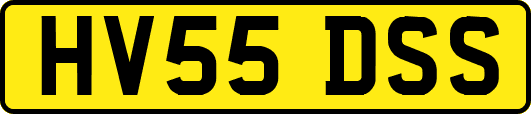HV55DSS