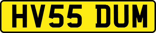 HV55DUM