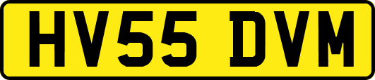 HV55DVM