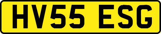 HV55ESG