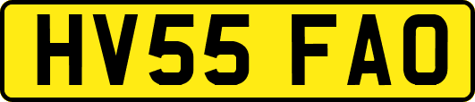 HV55FAO
