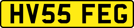 HV55FEG