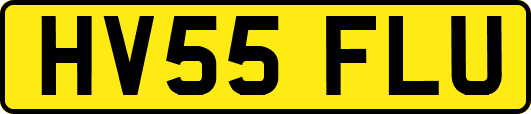 HV55FLU