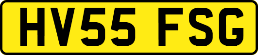 HV55FSG