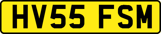 HV55FSM