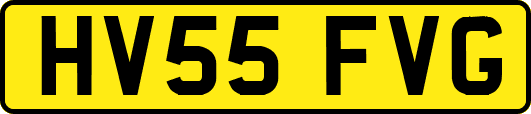 HV55FVG