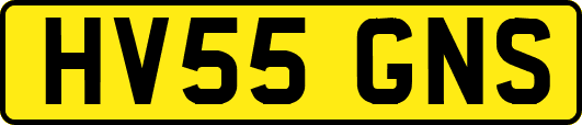 HV55GNS