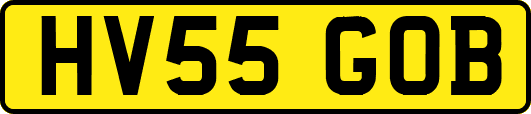 HV55GOB
