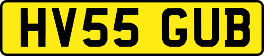 HV55GUB