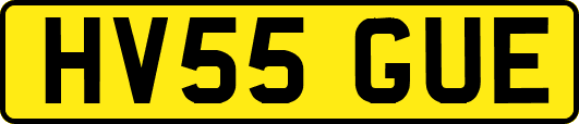 HV55GUE