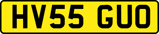 HV55GUO