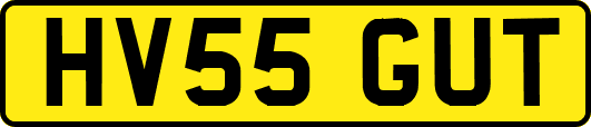HV55GUT