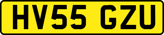 HV55GZU