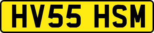 HV55HSM