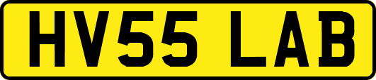 HV55LAB