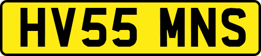 HV55MNS