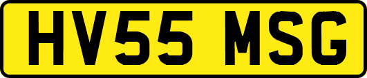 HV55MSG