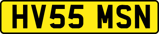 HV55MSN