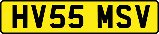 HV55MSV